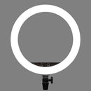 Godox LR150 18'' Anillo Bi-Color LED Luz Continua Godox LR150 18'' Anillo Bi-Color LED para entrega inmediata en nuestras tiendas de Escazú y Curridabat. Tienda en línea con envíos a toda Costa Rica. Garantía en Costa Rica.