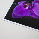 Papel Mate 65 - 8.5"x11" - 25 hojas Papel de fotografía Papel Mate 65 - 8.5"x11" - 25 hojas para entrega inmediata en nuestras tiendas de Escazú y Curridabat. Tienda en línea con envíos a toda Costa Rica. Garantía en Costa Rica.