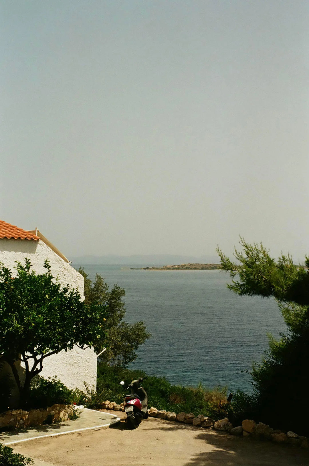 Película ColorPlus 200 35mm - 36