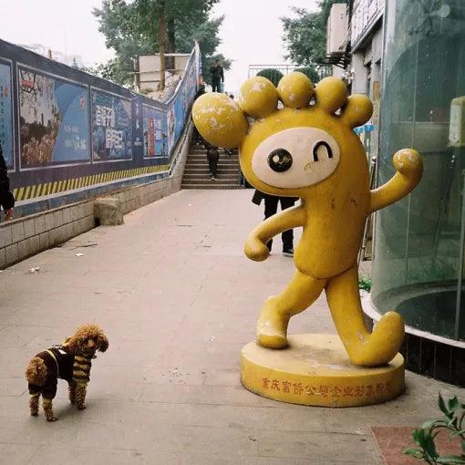 Película ColorPlus 200 35mm - 36