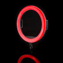 Specialist R19RGB 19" LED Ringlight Luz Continua Specialist R19RGB 19" LED Ringlight para entrega inmediata en nuestras tiendas de Escazú y Curridabat. Tienda en línea con envíos a toda Costa Rica. Garantía en Costa Rica.