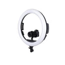 Specialist R19RGB 19" LED Ringlight Luz Continua Specialist R19RGB 19" LED Ringlight para entrega inmediata en nuestras tiendas de Escazú y Curridabat. Tienda en línea con envíos a toda Costa Rica. Garantía en Costa Rica.